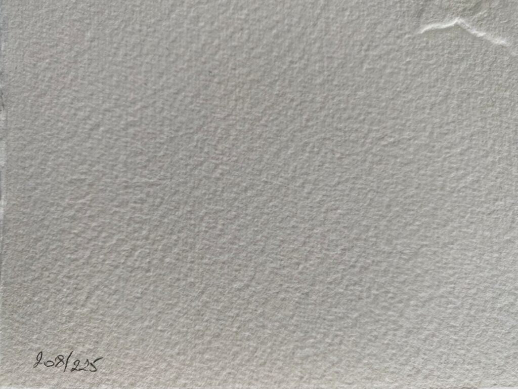 Céphalé de Georges Braque, 1971 (vue 3)