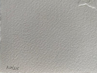 Céphalé de Georges Braque, 1971 (vue 3)