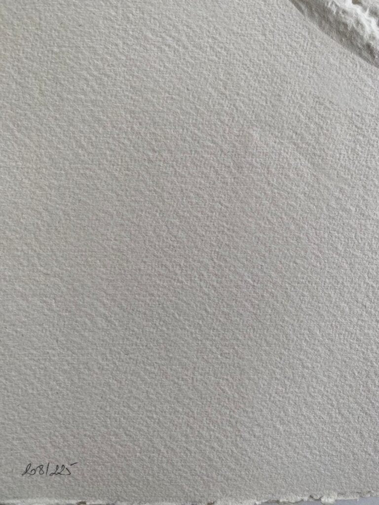 Perséphone by Georges Braque, 1971 (view 3)