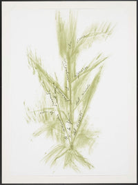 Trentatré Erbe (Thirty-three Herbs) by Giuseppe Penone, 1989 (view 3)