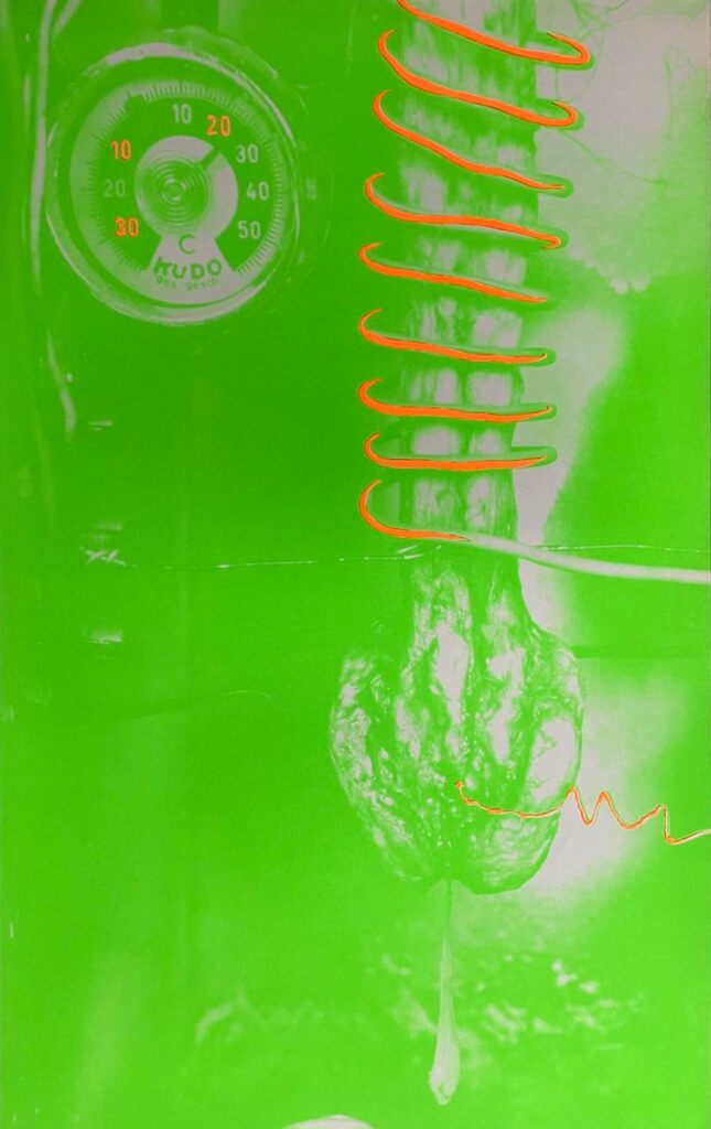 Work by Tetsumi Kudo, 1974