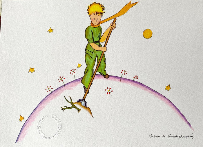 The Little Prince On His Planet by Antoine de Saint-Exupéry, 2009