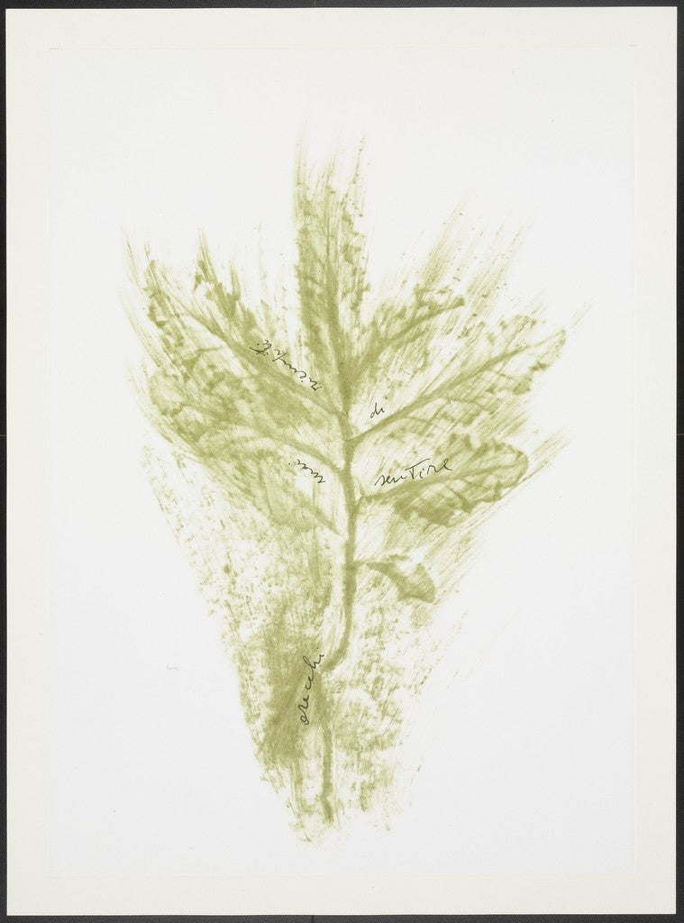 Trentatré Erbe (Thirty-three Herbs) by Giuseppe Penone, 1989 (view 2)