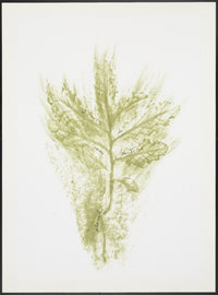 Trentatré Erbe (Thirty-three Herbs) by Giuseppe Penone, 1989 (view 2)