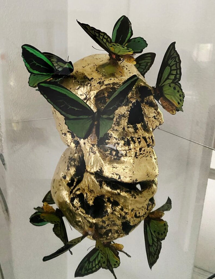 Vanité aux papillons de Philippe Pasqua, vers 2005