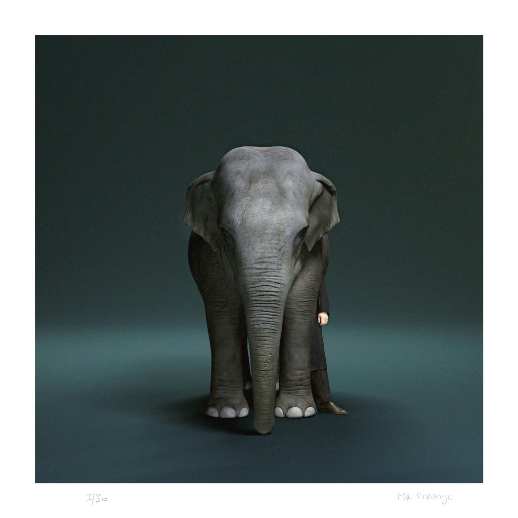 The Trainer by Jean-Marie Gitard (Mr. Strange), 2024
