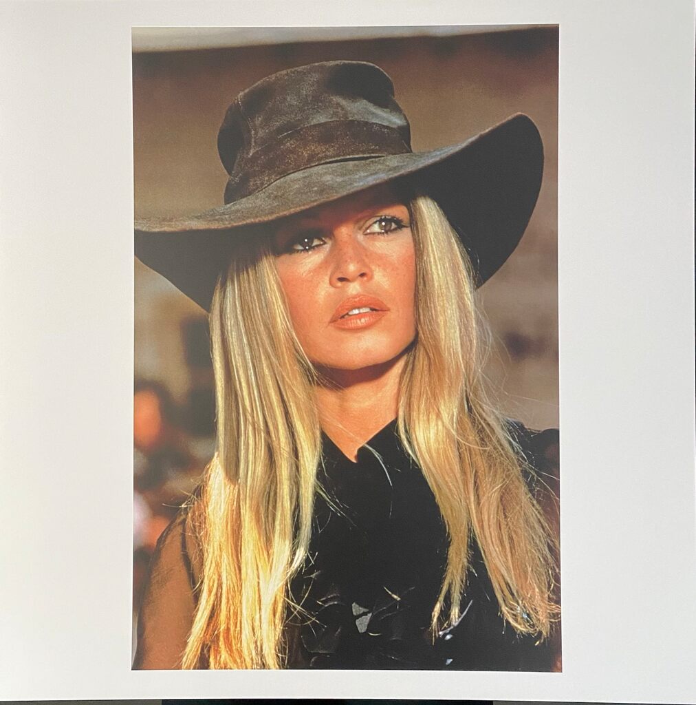 Brigitte Bardot by Léonard de Raemy, 2015