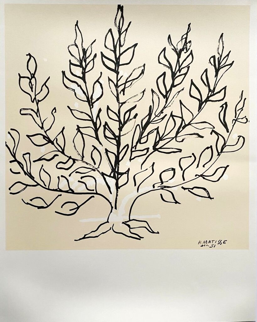 Le Buisson by Henri Matisse, 1951