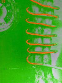Work by Tetsumi Kudo, 1974 (view 2)