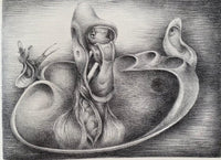 Explorations by Henri Goetz, 1947 (view 2)