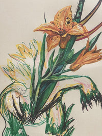 Hemerocallis thumbergü elephant furiosa de Salvador Dalí, 1972 (vue 4)