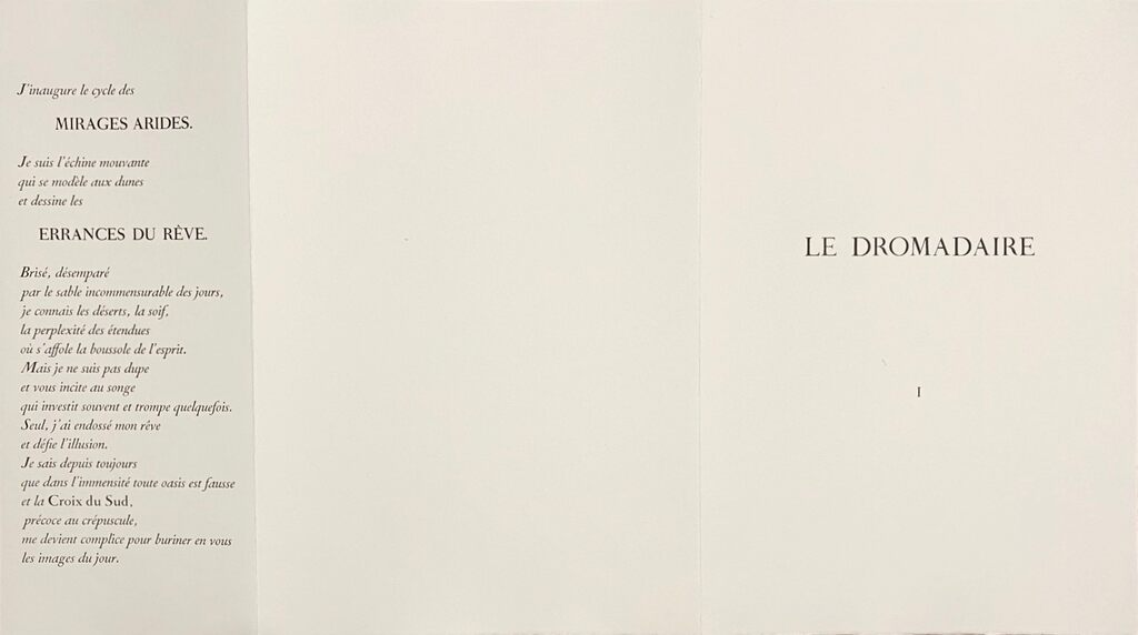 Le dromadaire (The dromedary) by Pierre-Yves Trémois, 1975 (view 3)