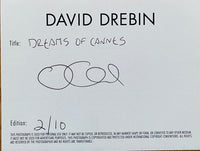Dreams Of Cannes de David Drebin, 2013 (vue 5)
