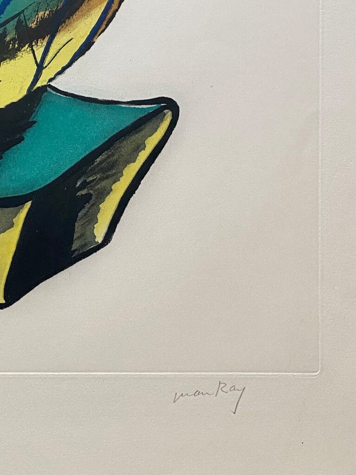 Transfiguration d'un cactus by Man Ray, 1971 (view 2)