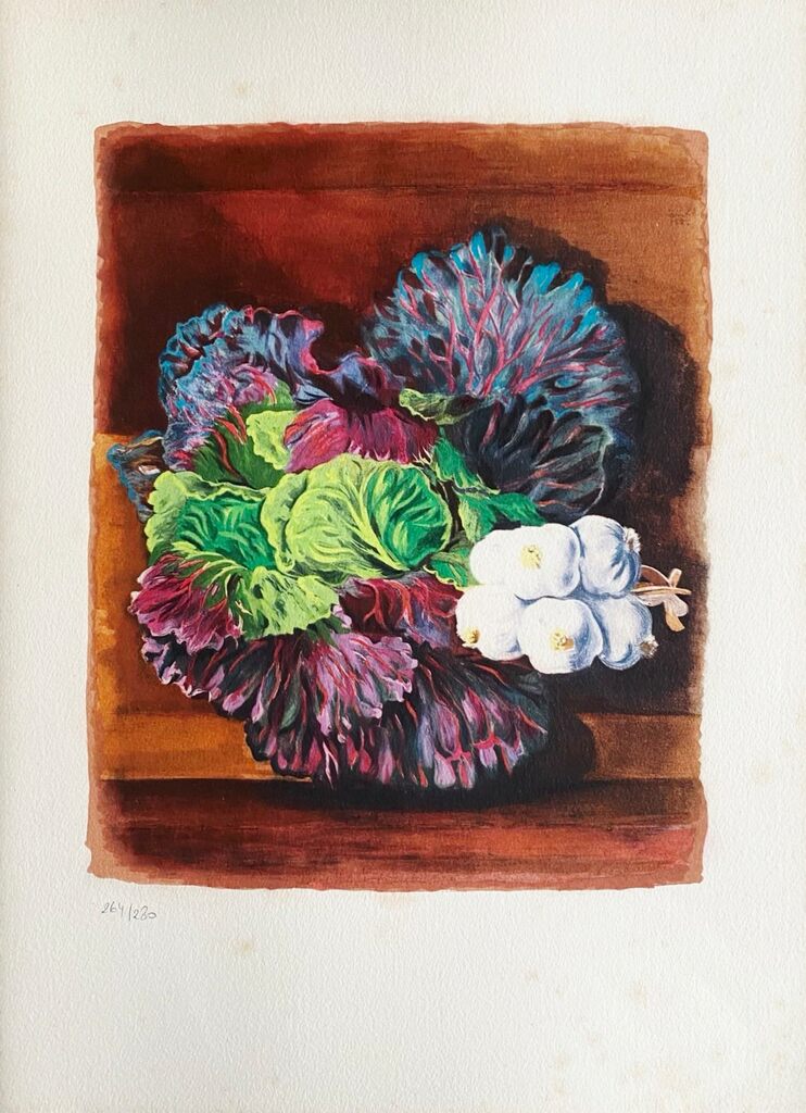 Nature-morte au chou de Moïse Kisling, 1954