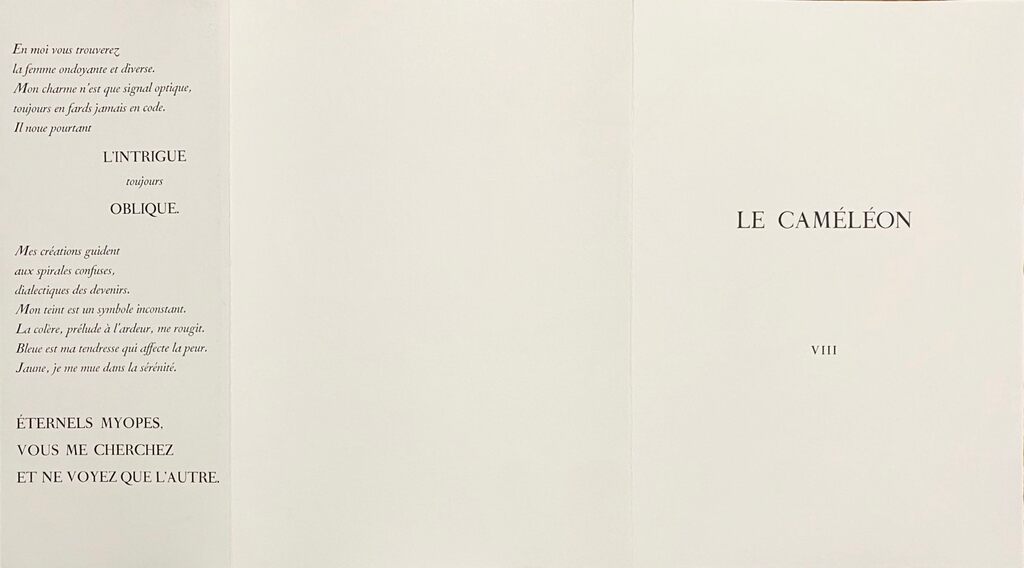 Le Caméléon (The Chameleon) de Pierre-Yves Trémois, 1975 (vue 3)