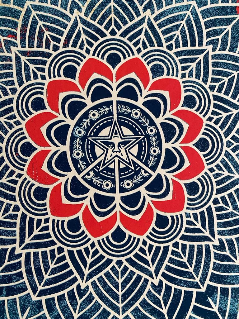 Chaos Mandala 2 by Shepard Fairey, 2025 (view 4)