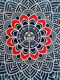 Chaos Mandala 2 by Shepard Fairey, 2025 (view 4)