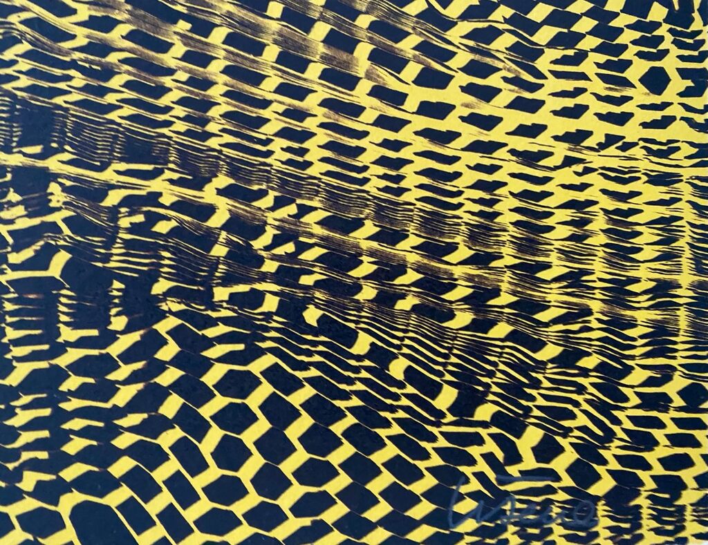 A la sombra del Teide by Claude Viseux, 1974 (view 3)