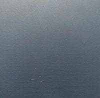 Iguane by Gilles Aillaud, 1974 (view 2)
