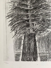 The Fascinating Cypress (Le Fascinant cyprès) by Max Ernst, 1972 (view 2)