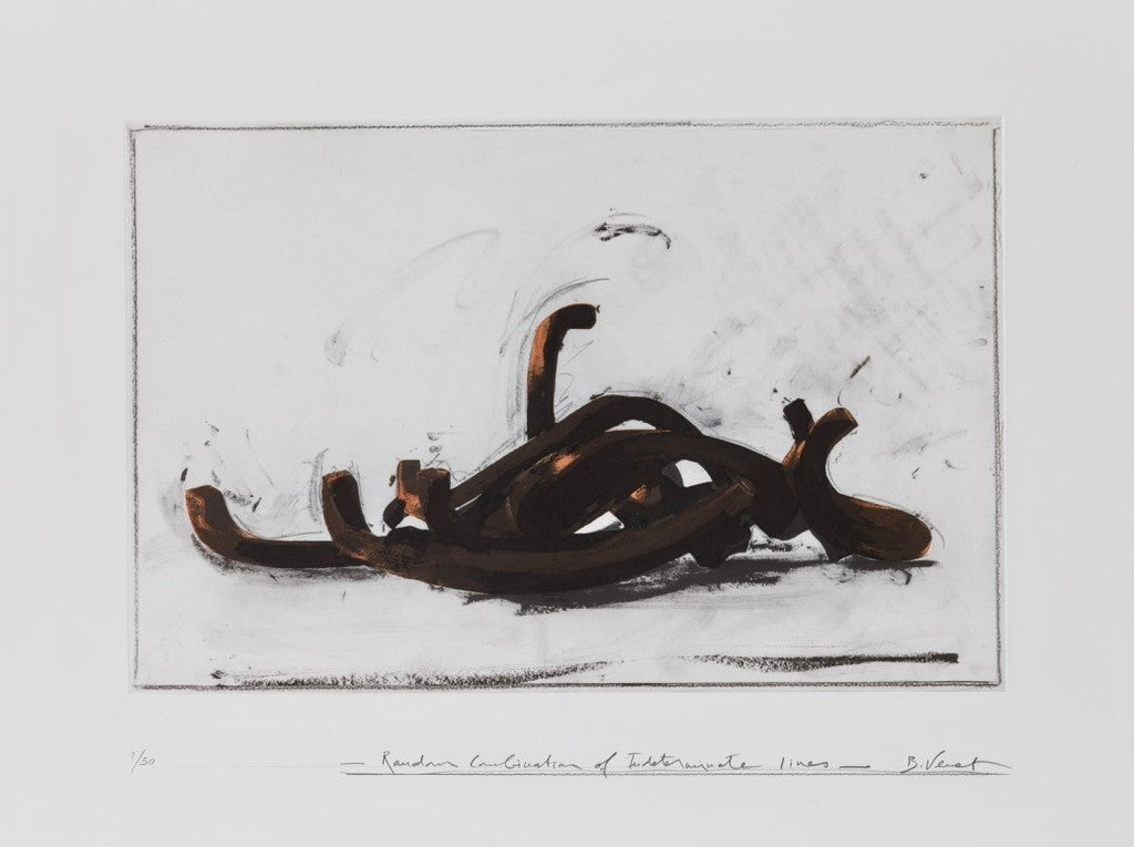 Random Combination of Indeterminate Lines de Bernar Venet, 2019