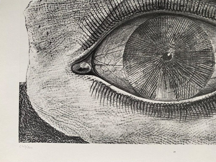 The Wheel of Light (La Roue de la lumière) de Max Ernst, 1972 (vue 2)