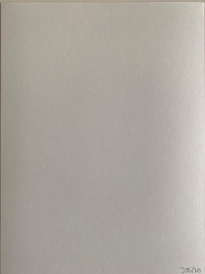 Untitled, Liquids de Leslie David, 2016 (vue 2)