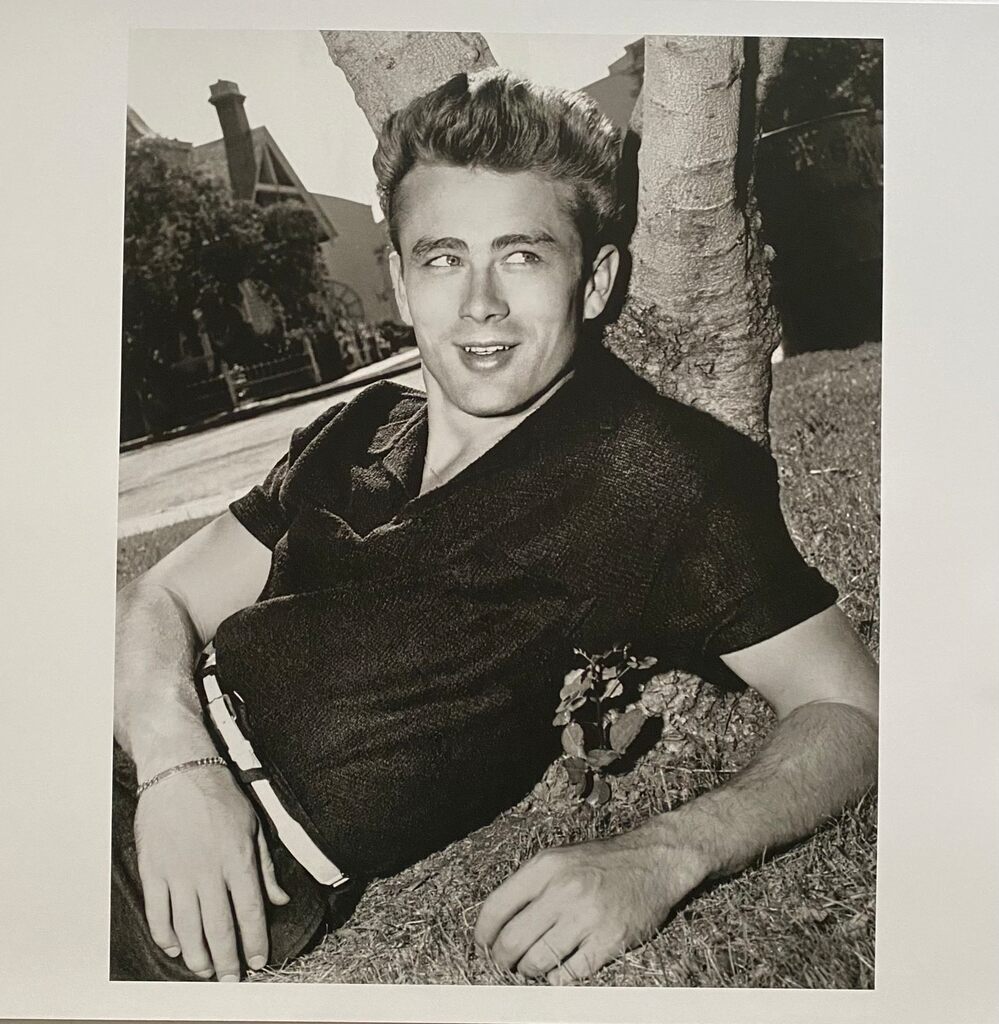 James Dean, 2015