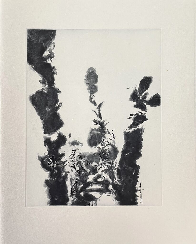 XXIV Sonnets de Shakespeare de Zao Wou-Ki 趙無極, 1994