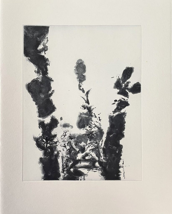 XXIV Sonnets de Shakespeare by Zao Wou-Ki 趙無極, 1994