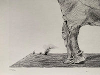 To Forget Everything (A tout oublier) by Max Ernst, 1972 (view 2)