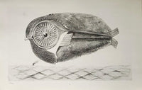 The Fugitive (L'Évadé) by Max Ernst, 1972