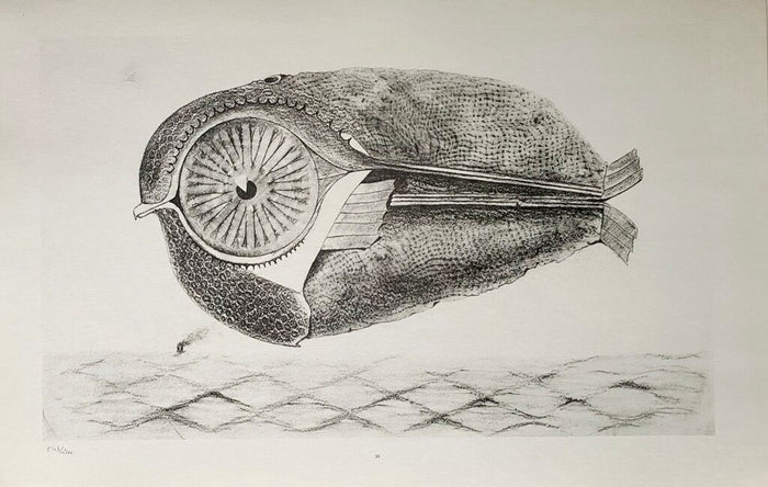 The Fugitive (L'Évadé) de Max Ernst, 1972