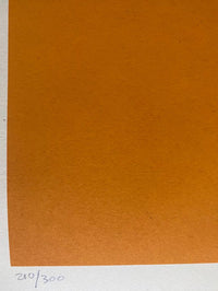 DEI-TY (Orange) by Shepard Fairey, 2025 (view 2)