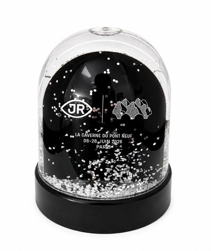 Projet Pont Neuf, Snow Globe de JR, 2026 (vue 2)