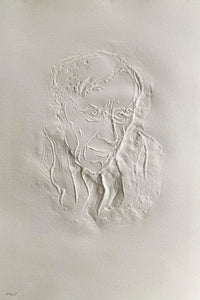 Portrait de Georges Braque by Aimé Daniel Steinlen, 1971