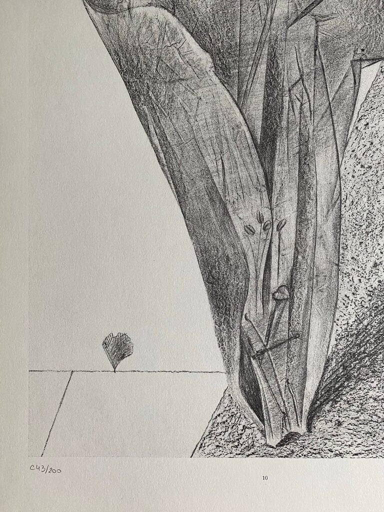 She Guards Her Secret (Elle garde son secret) by Max Ernst, 1972 (view 2)