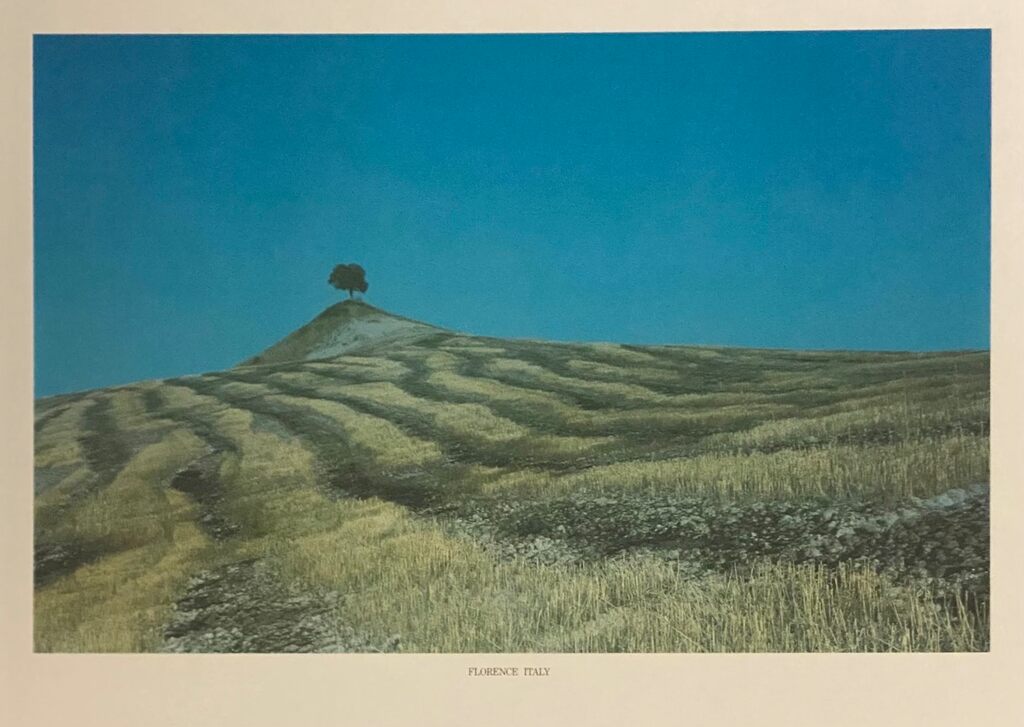 Florence, Italy by Barry Lategan, 1981 (view 2)
