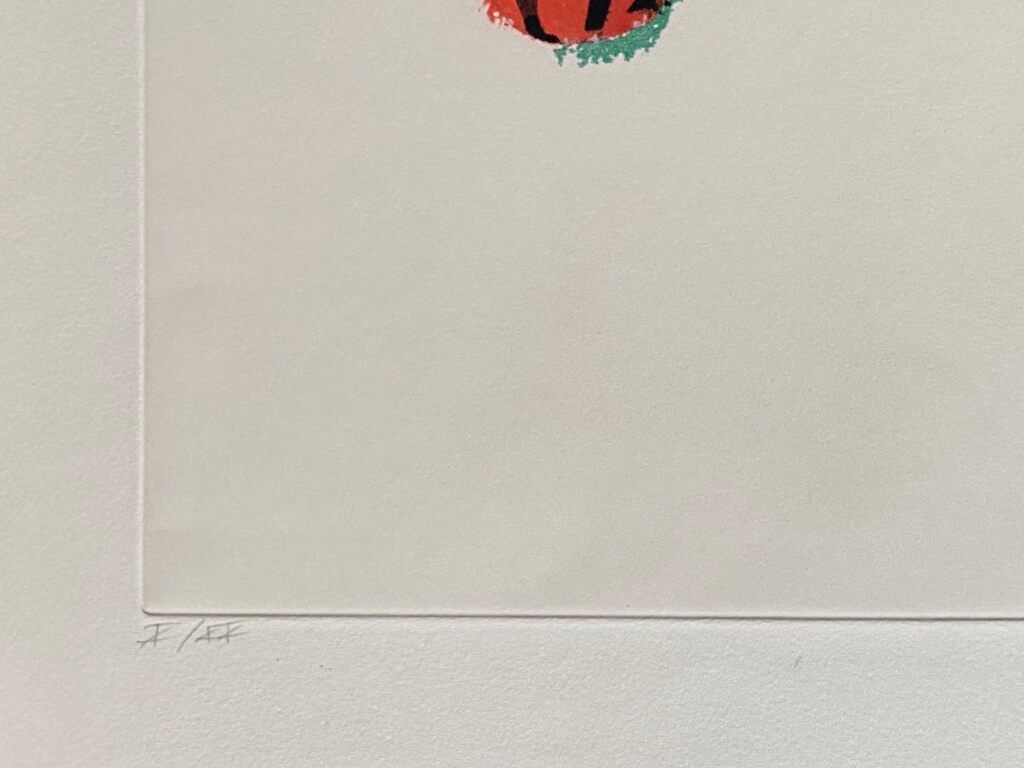 Transfiguration d'un cactus by Man Ray, 1971 (view 2)