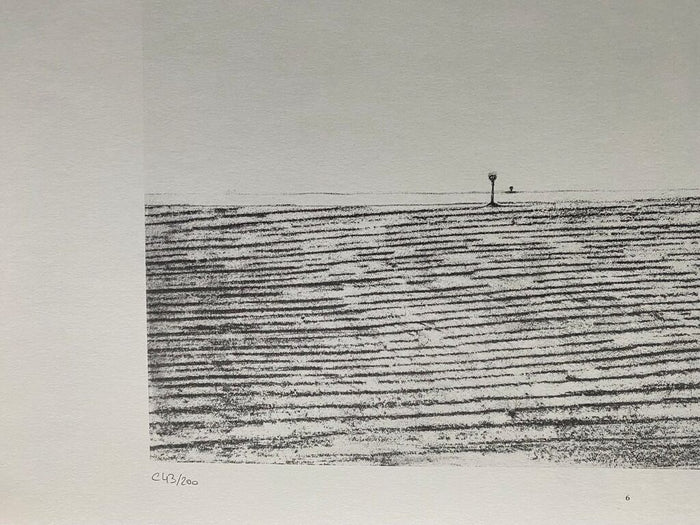 The Pampas (Les Pampas) de Max Ernst, 1972 (vue 2)