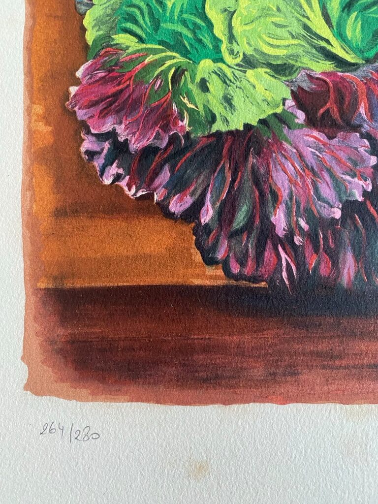 Nature-morte au chou de Moïse Kisling, 1954 (vue 2)