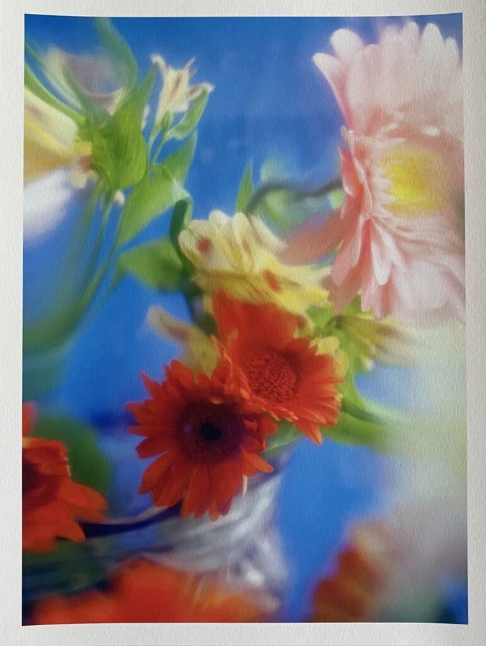 Bouquet de Fleurs (Bouquet of Flowers) de Paul Rousteau, 2017