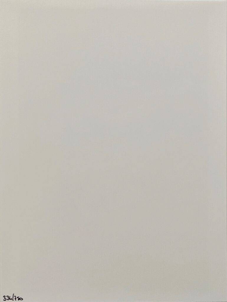 Autoportrait au miroir de Denis Roche, 2016 (vue 2)