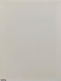 Autoportrait au miroir de Denis Roche, 2016 (vue 2)