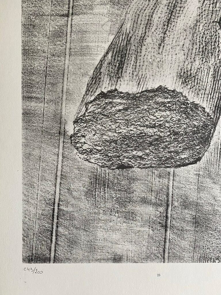 The Vaccinated Bread (Le Pain vacciné) by Max Ernst, 1972 (view 2)