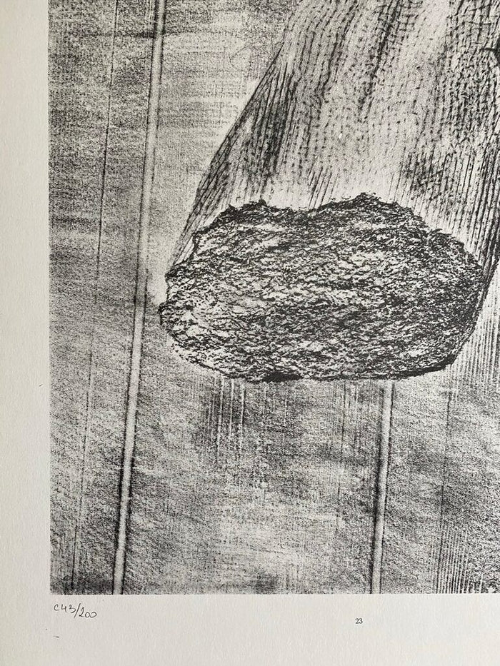 The Vaccinated Bread (Le Pain vacciné) de Max Ernst, 1972 (vue 2)