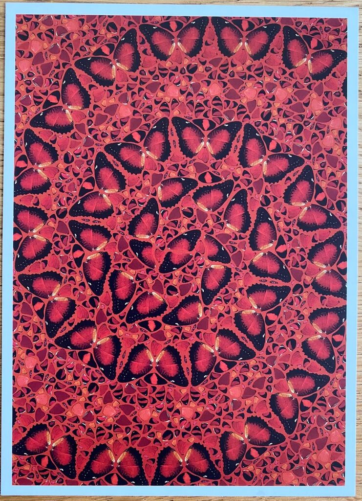 Set of 5 postcards de Damien Hirst, 2024 (vue 4)
