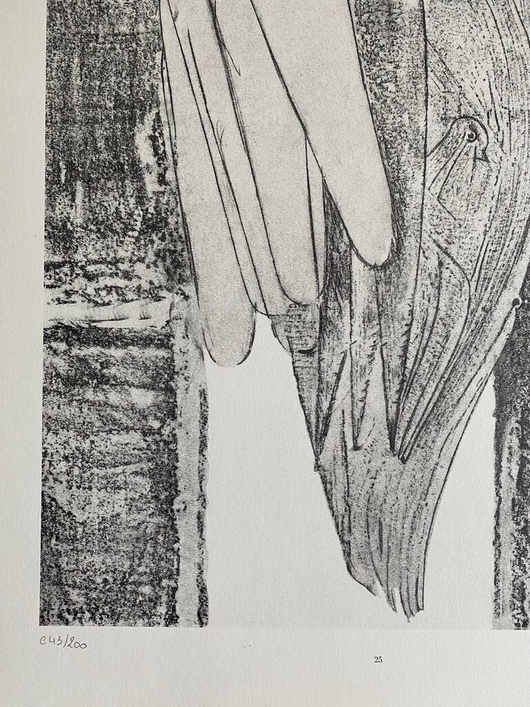 The Conjugal Diamonds (Les Diamants conjugaux) de Max Ernst, 1972 (vue 2)