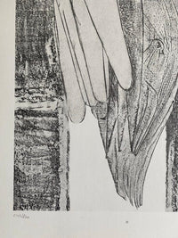 The Conjugal Diamonds (Les Diamants conjugaux) de Max Ernst, 1972 (vue 2)